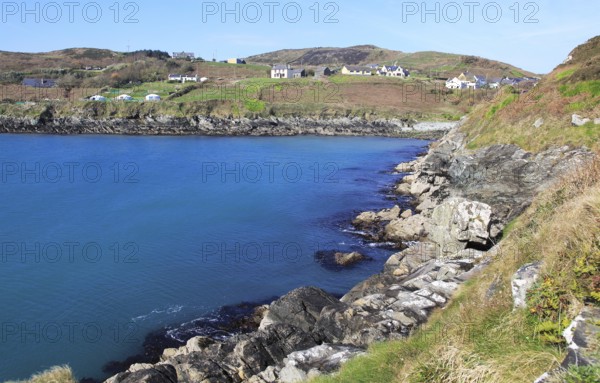 South Harbour bay and houses, Cape Clear Island, County Cork, Ireland, Irish Republic, Europe