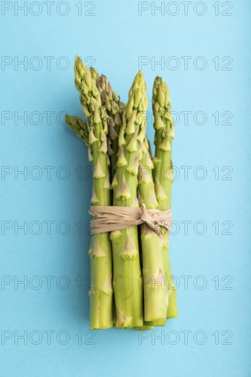 Bunch of fresh green asparagus on blue pastel background. Top view, flat lay, close up. harvest,