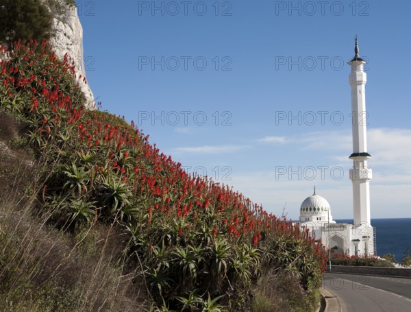 Mosque of the Custodian of the Two Holy Mosques, Europa Point, Gibraltar, British overseas