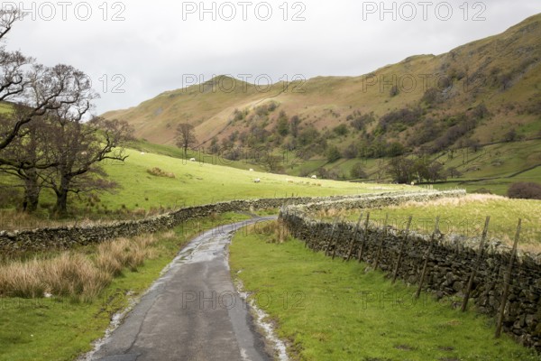 Narrow country road in Martindale valley, Ullswater, Lake District national park, Cumbria, England,
