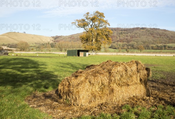 Farming landscape view chalk escarpment Oliver's castle, near Devizes, Wiltshire, England, UK from