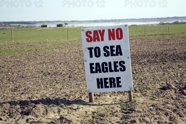 Protest sign against introduction of white-tailed sea eagle birds to Suffolk coast, Blythburgh,