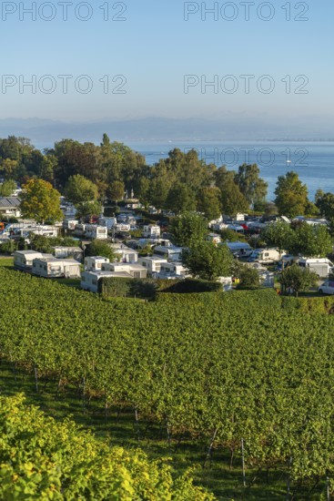 Campsite, caravan, blue sky, vineyards, Hagnau am Lake Constance, Baden-Württemberg, Germany,