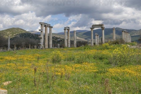 Excavation site site of the ancient city of Aphrodisias, today's city of Geyre, Karacasu, Aydin,
