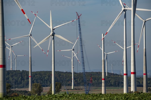 Wind farm near Bad Wünnenberg, Ostwestfalen Lippe, along the A44 motorway, North Rhine-Westphalia,