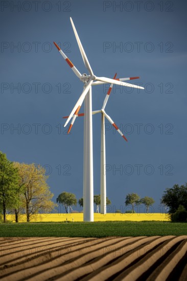 Wind turbines on a rape field, dark rain clouds, in the Rhenish lignite mining area, near