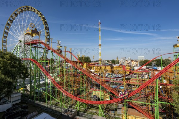 The Rhine Fair in Düsseldorf, in the Rhine meadows in the Oberkassel district, on the Rhine, Wild