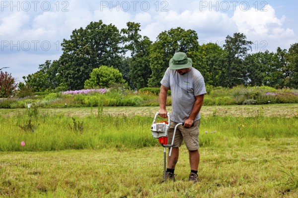 Detroit, Michigan, Volunteers planting in the wetlands at the public garden designed by prominent