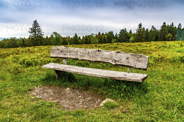 Landscape on the Kahler Asten, mountain, in the Hochsauerland district, Hochheide, North