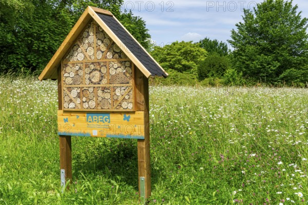 Insect hotel, wildflower meadow at the park cemetery in Essen, the city's largest cemetery, North