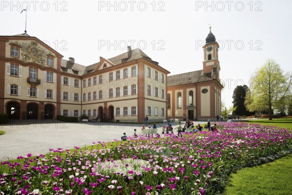 Flower meadow with colourful tulips, Mainau Island, Lake Constance, Baden-Württemberg, Germany,