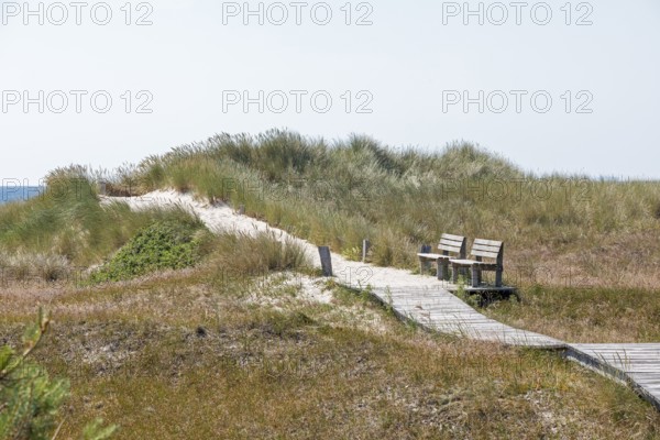 Wooden footbridge, benches, dunes, circular hiking trail, nature reserve, Darßer Ort, Born a. Darß,