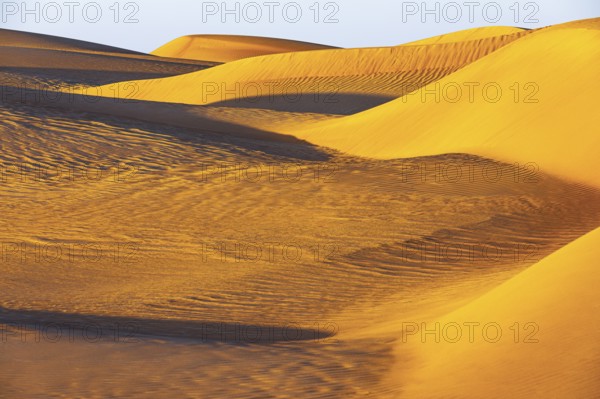 Wind-sculpted curved sand dunes in the Rub al Khali desert, Dhofar province, Arabian Peninsula,