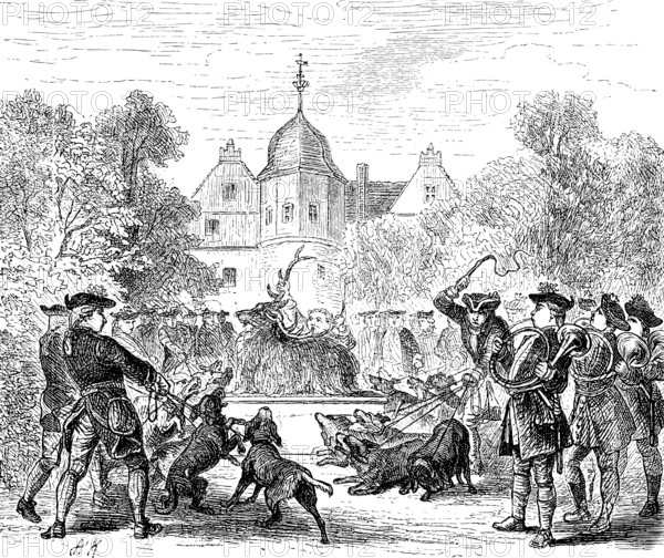 A royal nimrod, hunting pleasure at Wusterhausen Castle, Brandenburg, driven hunt, hunting dogs,