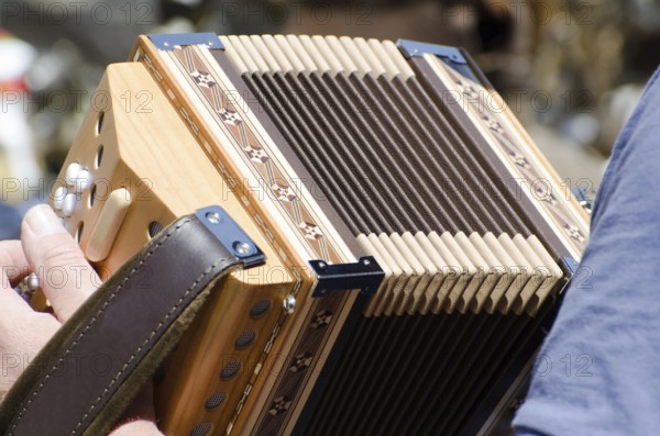 Man Playing on an Accordion