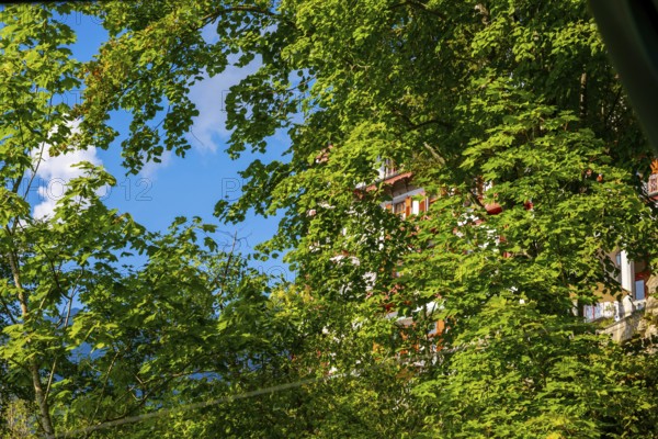 The Historical Grandhotel Giessbach on the Mountain Side Behind Trees in Brienz, Bern Canton,
