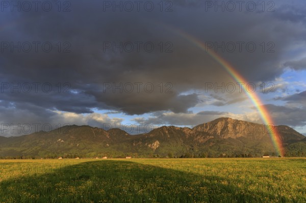 Rainbow, flower meadow, mountains, cloudy mood, evening light, Loisach-Lake Kochel moor, view of
