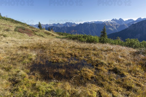 Autumn in the Allgäu, mountain panorama from Fellhorn 2037m, to Höfats, 2259m, Öfnerspitze, 2576m,