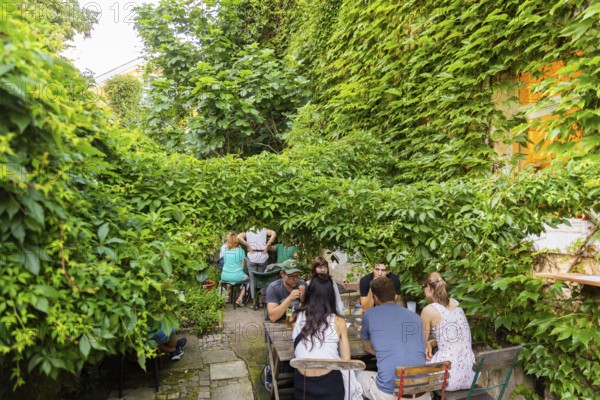 31st Elbhangfest, Friedrich Wieck Str. 24 Garden Catering, 31st Elbhangfest, Dresden, Saxony,