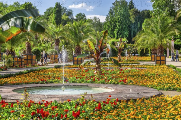 Palm garden in the spa gardens, the largest outdoor palm garden north of the Alps, spa town of Bad
