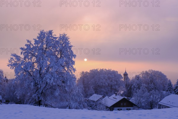 Sunrise with hoarfrost in winter, at the Schlossberg, Eurasburg, Loisachtal, Upper Bavaria,