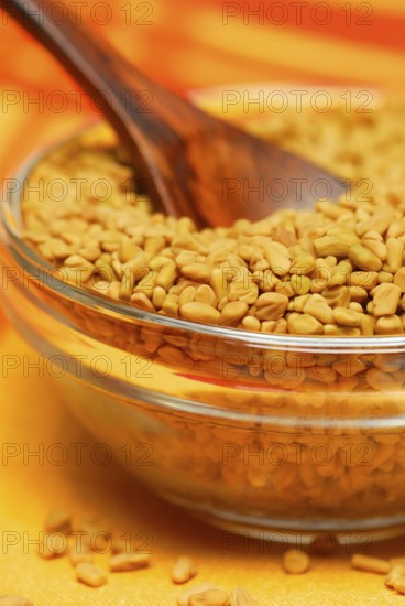 Fenugreek-Seed in dish, seeds, spoon, Greek hay