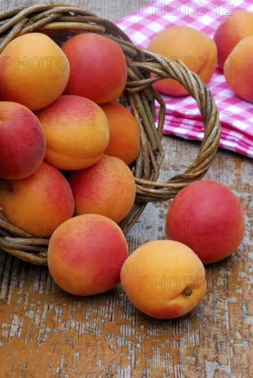 Apricots (Prunus armeniaca)