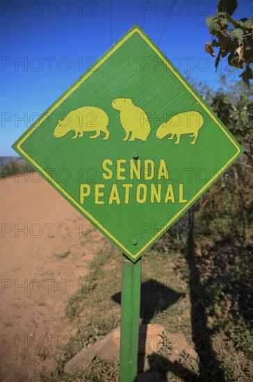 Sign Beware of Capybaras (Hydrochoerus hydrochaeris), Colonia Carlos Pellegrini, Esteros del Iberá,
