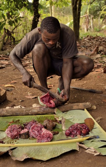 Local man preparing bushmeat, Mangamba, Littoral Province, Cameroon, Africa