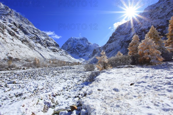 Mt Collon, 3637 m, Arolla Valley, Valais, Switzerland, Europe