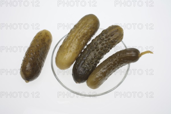 Sour cucumber, gherkin or pickled cucumber