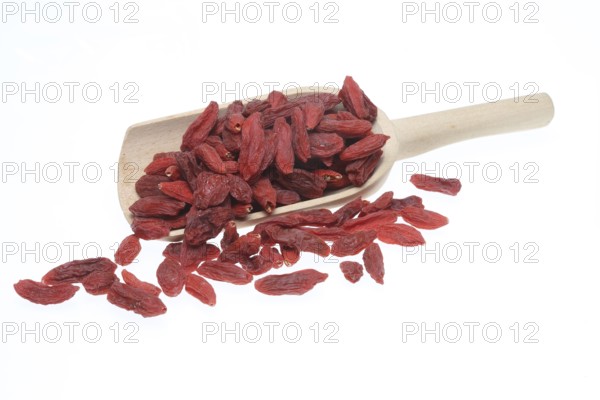 Goji, goji berries (Lycium barbarum), fenugreek, plant species of the nightshade family. Common