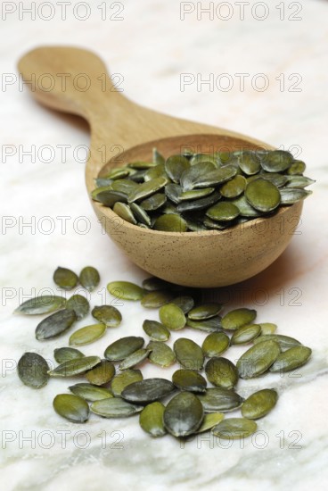 Pumpkin seed in wooden spoon (Cucurbita spec.)