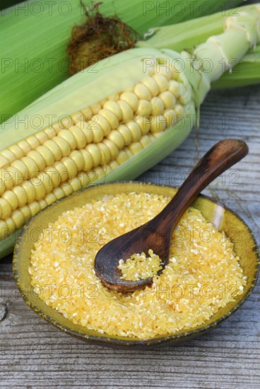 Polenta, maize, maize semolina, maize semolina, corn on the corn corn corn corn corn corn corn corn