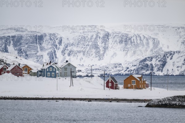 Colourful houses in a snowy landscape, fishing village Kongsfjord, Berlevåg, Varanger Peninsula,