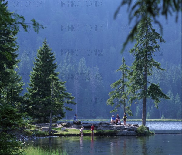 Arbersee, Großer Arber, Bavarian Forest National Park, Bavaria, Germany, Europe