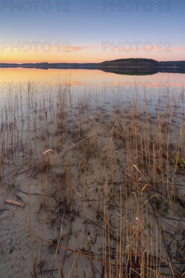 Great Lake Fürstensee with reeds at sunset, Müritz National Park, Fürstensee, Mecklenburg-Western