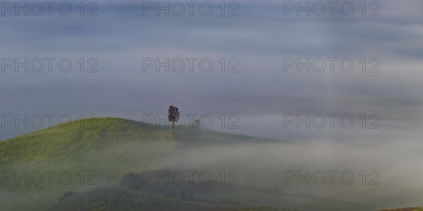 Landscape at sunrise around Volterra, province of Pisa, Tuscany, Italy, Europe