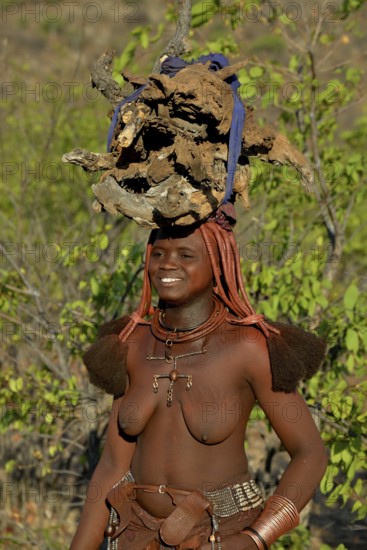 Himba woman gathering wood, Ombombo, Kaokoland, Kunene, Namibia, Africa
