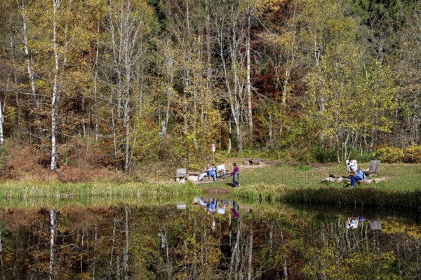 Walkers at the Sankenbachsee, Karsee, autumn, near Baiersbronn, Freudenstadt district, Black