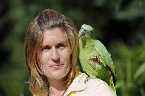 Woman with Salvadori miller amazon (Amazona farinosa virenticeps), France, Europe