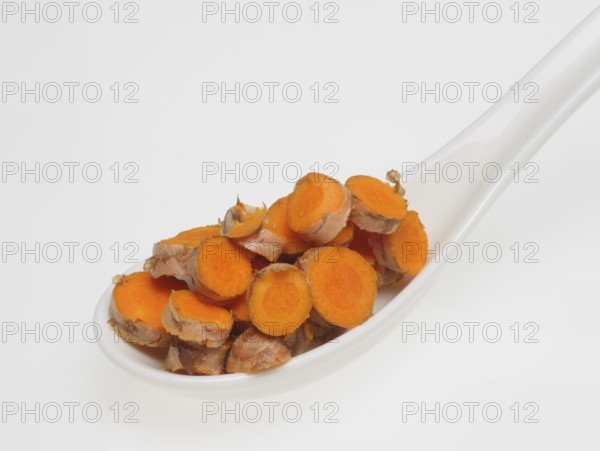 Turmeric (Curcuma longa) or curcume, yellow ginger, saffron root, turmeric, plant species of the