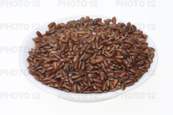 Red rice, Camargue rice from France, rice variety with a red bran layer, usually offered as brown