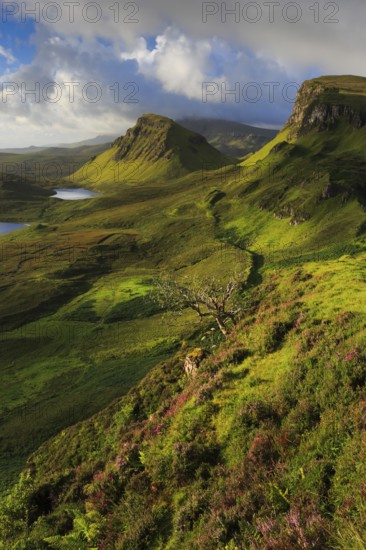 Trotternish, The Quaraig, Isle of Skye, Scotland, United Kingdom, Europe