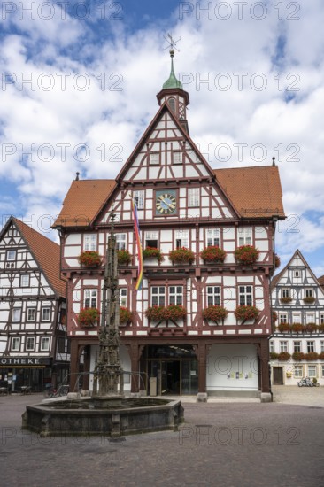 Town hall and market fountain in the old town of Bad Urach, Reutlingen district, Baden-Württemberg,
