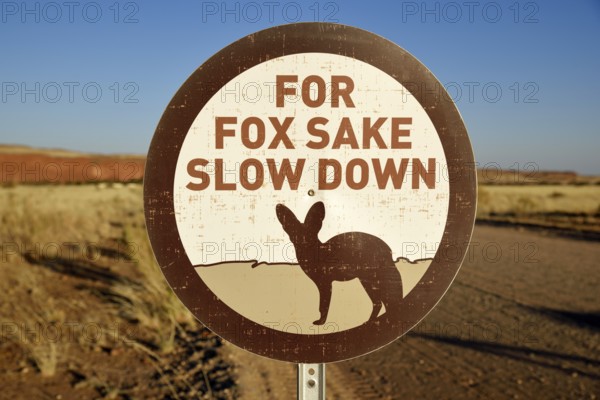 Sign Caution Bat-eared foxes (Otocyon megalotis), Gondwana Namib Park, near Sesriem, Hardap Region,