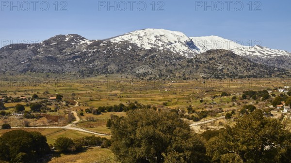Katharo plateau, fields, trees, snow-capped mountains, Lassithi, East Crete, island of Crete,