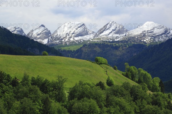 Churfirsten, view from Neu St. Johann, Toggenburg, St. Gallen, Switzerland, Europe