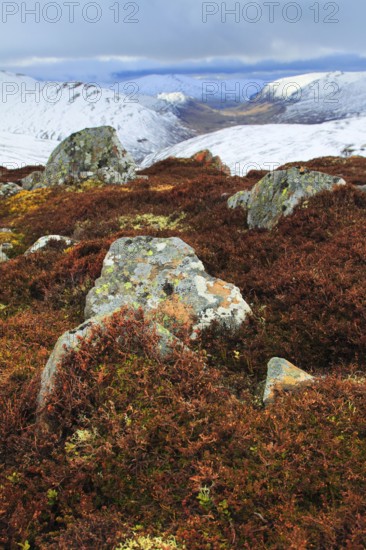 Glenshee, Cairngorms National Park, Scotland, United Kingdom, Europe
