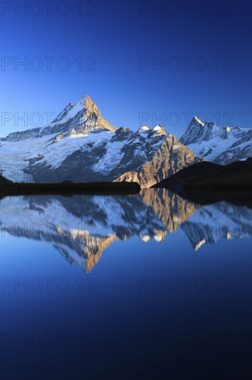 Bachalpsee, Schreckhorn, 4078 m, Finsteraarhorn, 4274 m, Bernese Oberland, Switzerland, Europe